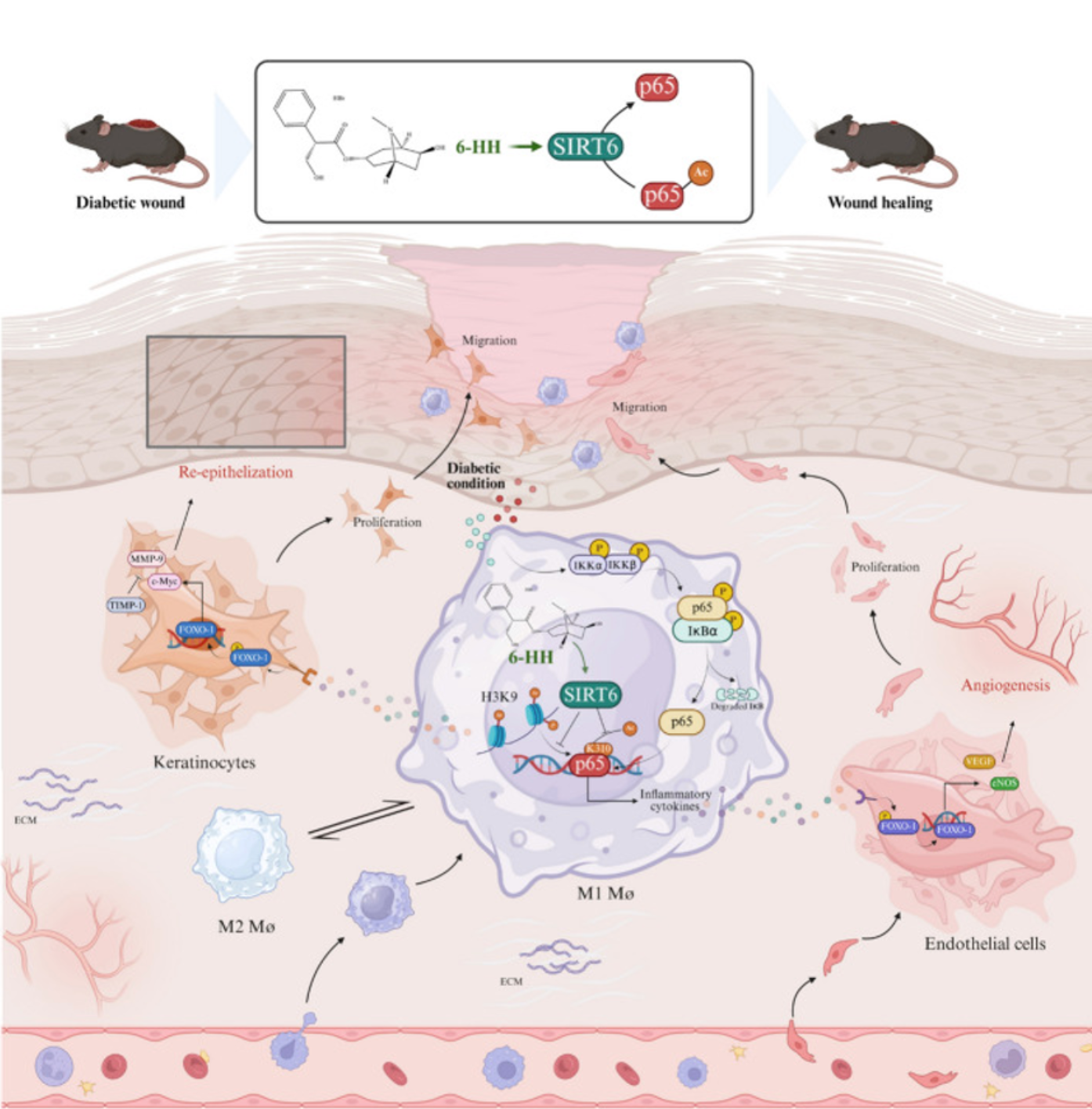 ScreenShot_2026-03-27_175000_791.png ScreenShot_2026-03-27_175000_791.png